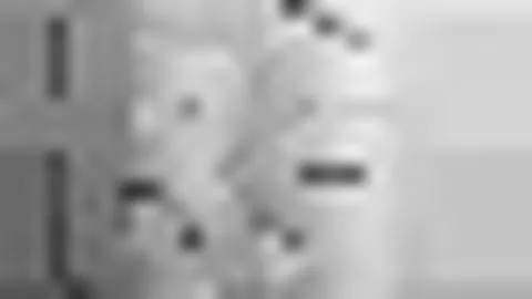 19岁新星迪奥绝杀建功，当选科莫战那不勒斯最佳球员